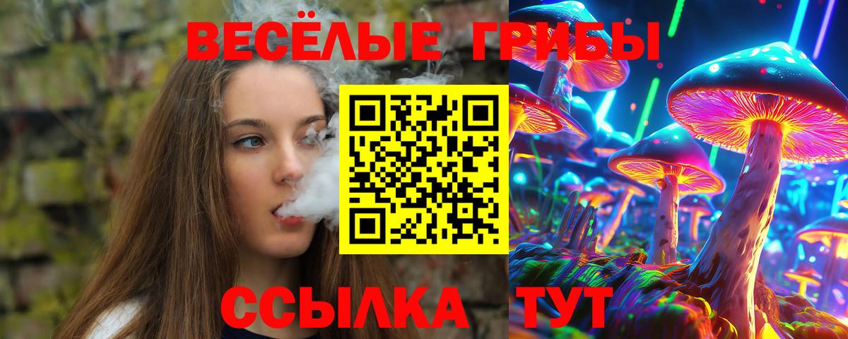 Галлюциногенные грибы Cubensis Серпухов